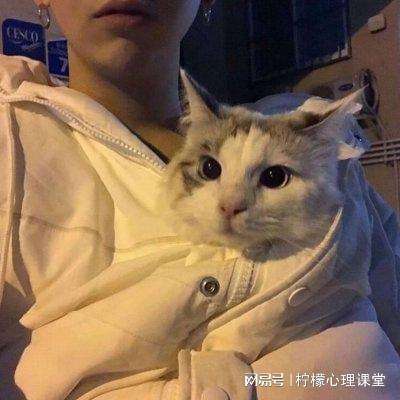 猎人学院游戏