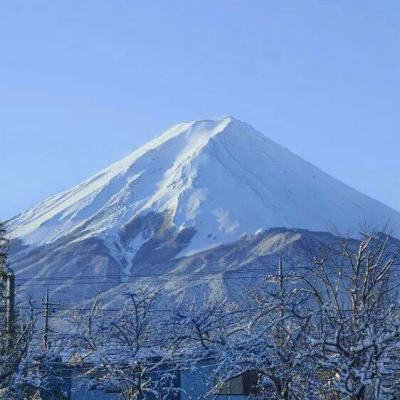 暗影大天使手游下载